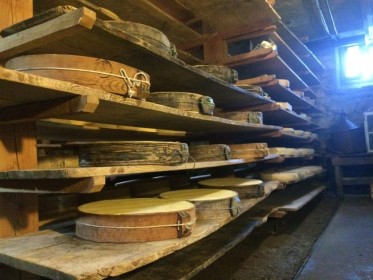 Alpe Varrone - stagionatura formaggio Bitto
